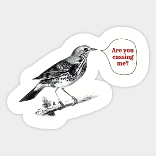 Are you Cussing me? Bird Sticker